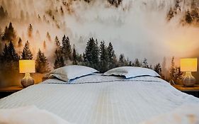 Bar-Kawiarnia BASIA Pokoje Gościnne